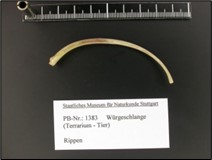 Knochenfett-Extraktionsanlage